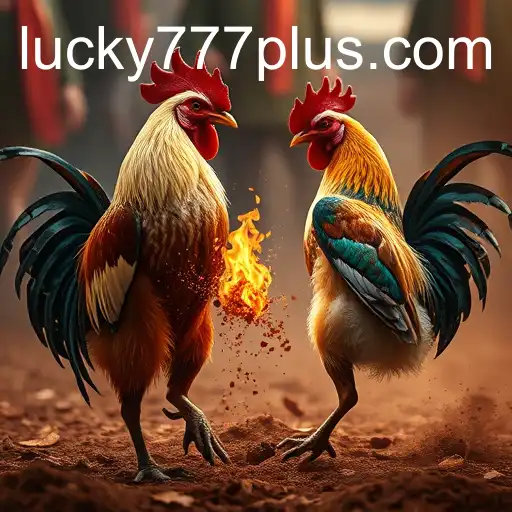 The Rise of Online Sabong and Lucky777 Win